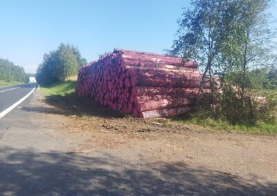 Palivové dřevo Karlovarský kraj